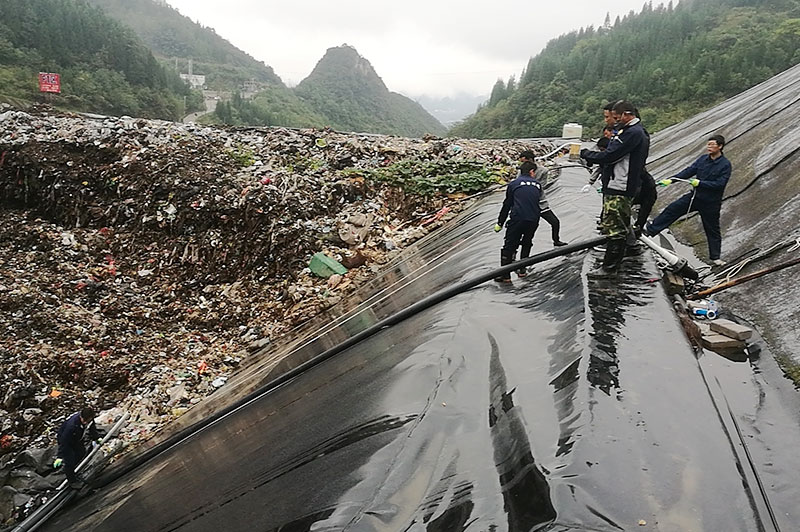 樱花草视频在线观看高清免费6填埋现场