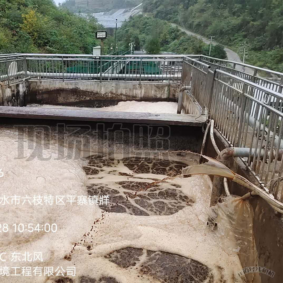 樱花草视频在线观看高清免费6渗滤液处理中泡沫产生的危害